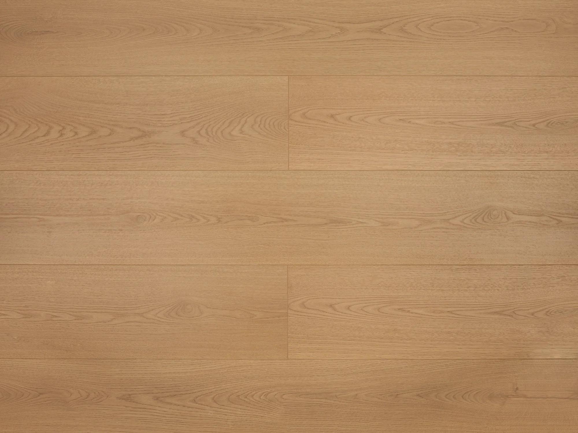 Дуб • Орион